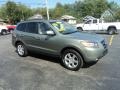 2008 Natural Khaki Green Hyundai Santa Fe Limited 4WD  photo #3