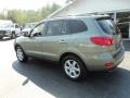 2008 Natural Khaki Green Hyundai Santa Fe Limited 4WD  photo #8