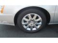 Radiant Silver Metallic - DTS Premium Photo No. 10