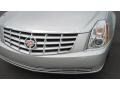 Radiant Silver Metallic - DTS Luxury Photo No. 9