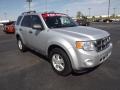 2009 Brilliant Silver Metallic Ford Escape XLT V6  photo #3