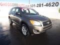 Pyrite Metallic - RAV4 I4 4WD Photo No. 1