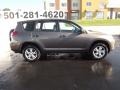 Pyrite Metallic - RAV4 I4 4WD Photo No. 8