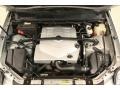 Light Platinum - SRX V6 Photo No. 22