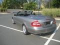 Pewter Metallic - CLK 320 Cabriolet Photo No. 4