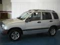 Silverleaf Metallic - Tracker 4WD Hard Top Photo No. 6