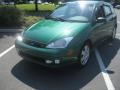Grabber Green Metallic - Focus ZX5 Hatchback Photo No. 5