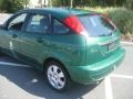 2002 Grabber Green Metallic Ford Focus ZX5 Hatchback  photo #13