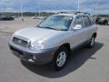 2003 Pewter Hyundai Santa Fe GLS 4WD  photo #3