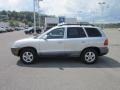 2003 Pewter Hyundai Santa Fe GLS 4WD  photo #4