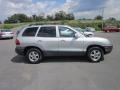 2003 Pewter Hyundai Santa Fe GLS 4WD  photo #8