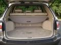 2001 Burnished Gold Metallic Lexus RX 300 AWD  photo #11