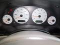 Taupe Gauges Photo for 2002 Chrysler Town & Country #54070809