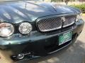 2008 Botanical Green Jaguar XJ Vanden Plas  photo #13