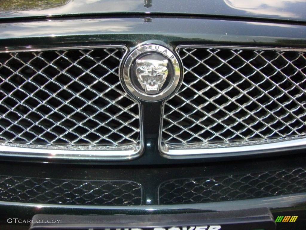 2008 XJ Vanden Plas - Botanical Green / Ivory/Mocha photo #15