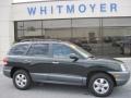 2006 Dark Emerald Green Hyundai Santa Fe Limited 4WD  photo #1