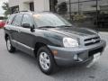 2006 Dark Emerald Green Hyundai Santa Fe Limited 4WD  photo #2