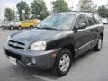 2006 Dark Emerald Green Hyundai Santa Fe Limited 4WD  photo #3