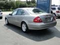 Pewter Metallic - E 320 Sedan Photo No. 8