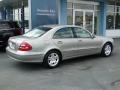 Pewter Metallic - E 320 Sedan Photo No. 11