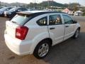 Stone White - Caliber SXT Photo No. 4