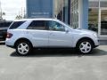Alpine Rain Metallic - ML 350 4Matic Photo No. 10
