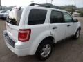 2010 Oxford White Ford Escape XLT 4WD  photo #4