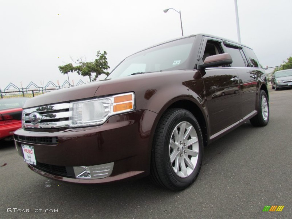 Cinnamon Metallic Ford Flex