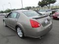 2008 Pebble Beach Metallic Nissan Maxima 3.5 SE  photo #5