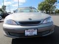 Cashmere Beige Metallic - ES 300 Photo No. 2