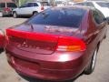 2000 Dark Garnet Red Metallic Dodge Intrepid   photo #6