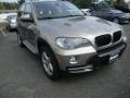 Platinum Bronze Metallic - X5 xDrive30i Photo No. 5