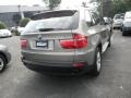 Platinum Bronze Metallic - X5 xDrive30i Photo No. 10