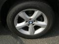 Platinum Bronze Metallic - X5 xDrive30i Photo No. 13