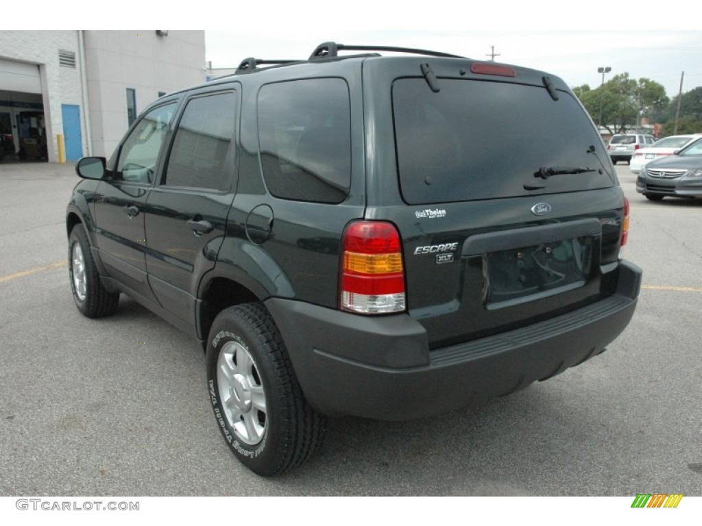 Aspen Green Metallic 2004 Ford Escape XLT V6 4WD Exterior Photo #54101102