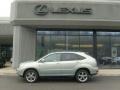 2006 Bamboo Pearl Lexus RX 400h AWD Hybrid  photo #2