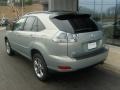 2006 Bamboo Pearl Lexus RX 400h AWD Hybrid  photo #3