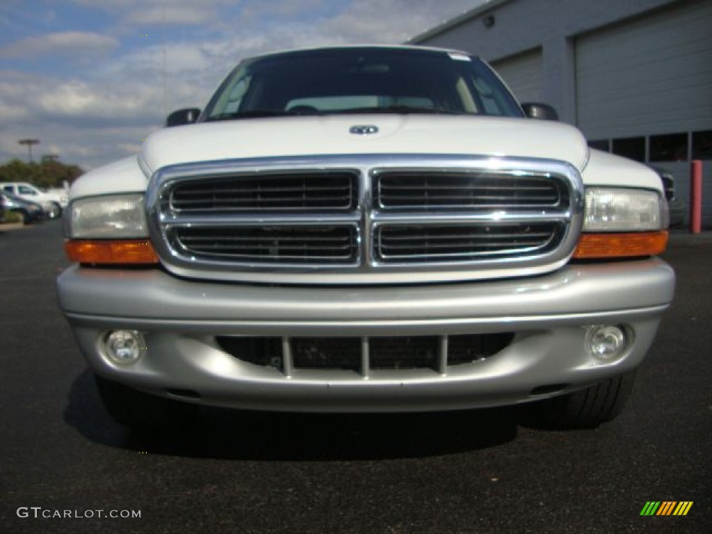 2004 Dakota SLT Quad Cab - Bright White / Dark Slate Gray photo #8