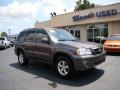 2006 Storm Front Gray Metallic Mazda Tribute i  photo #2