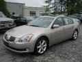Spirited Bronze Pearl - Maxima 3.5 SE Photo No. 1