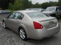 Spirited Bronze Pearl - Maxima 3.5 SE Photo No. 14
