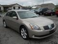 Spirited Bronze Pearl - Maxima 3.5 SE Photo No. 16