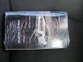 Bright Silver Metallic - Avenger Express Photo No. 4