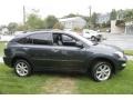 2009 Smokey Granite Lexus RX 350 AWD  photo #4