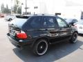 2006 Jet Black BMW X5 4.4i  photo #8
