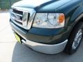 2008 Forest Green Metallic Ford F150 XLT SuperCrew  photo #10