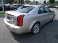 Light Platinum - CTS Sedan Photo No. 5