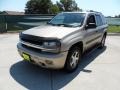 2005 Sandstone Metallic Chevrolet TrailBlazer LS  photo #7