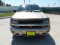 2005 Sandstone Metallic Chevrolet TrailBlazer LS  photo #8