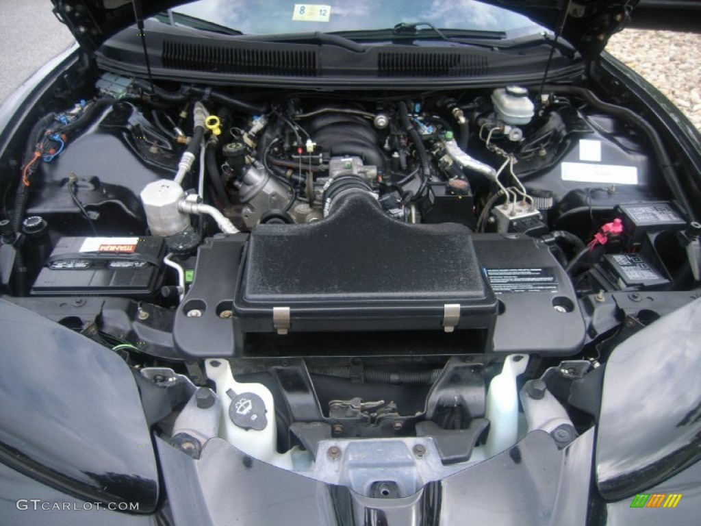2002 Pontiac Firebird Trans Am WS-6 Coupe 5.7 Liter OHV 16-Valve LS1 V8 Engine Photo #54142530